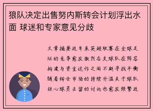 狼队决定出售努内斯转会计划浮出水面 球迷和专家意见分歧